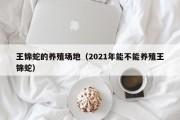 王锦蛇的养殖场地（2021年能不能养殖王锦蛇）